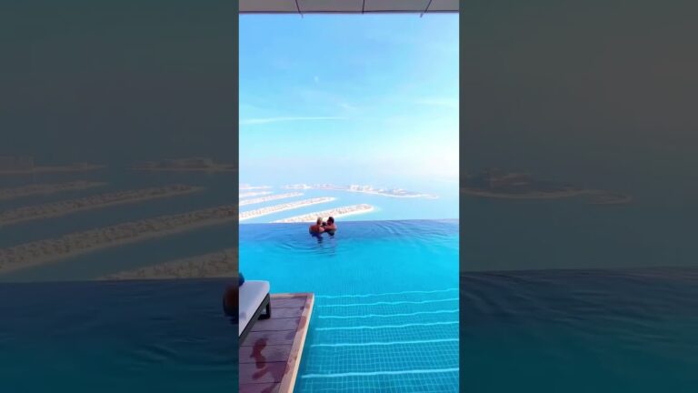 Pool View The Palm Dubai #beach #ytshorts #honeymoon #hotel #travel