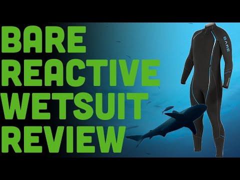 I Was Wrong About This Wetsuit! The Bare Reactive Review