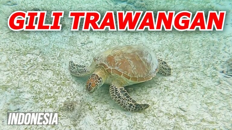Adventures on GILI TRAWANGAN (we didn’t expect it to be like this) | Travel Indonesia