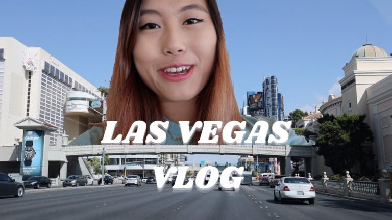 things to do in las vegas for asian american families | TRAVEL VLOG