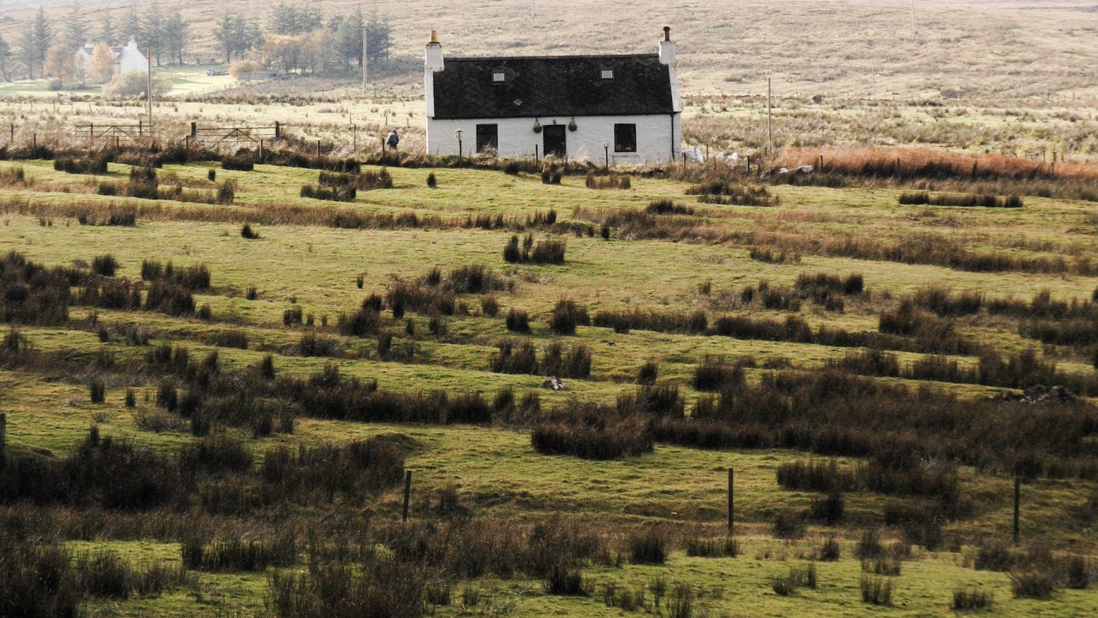 Exploring the Scottish Highlands: An Invigorating Adventure Through Nature