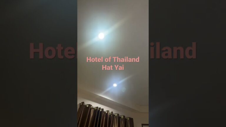 #hotel #travel #thailand #thaifood #shortvideo #share #2023 #1k #100 #shortsvideo #seafood #sea