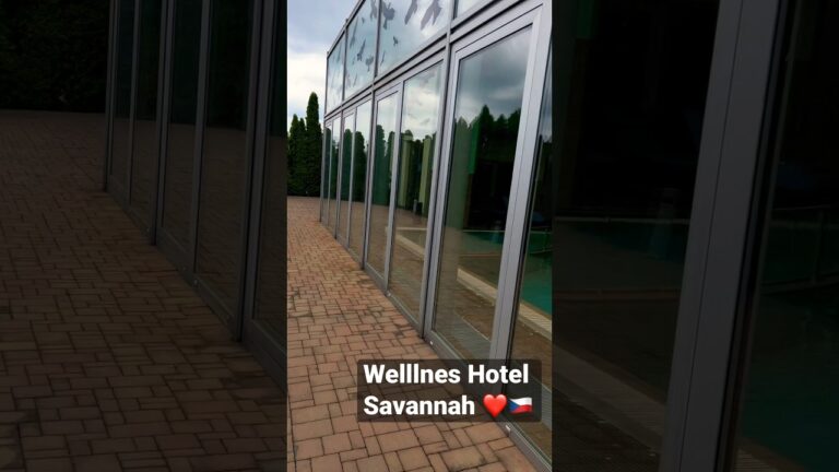 👇💥THE BEST 4 STARS HOTEL FROM 🇨🇿Welllnes Hotel Savannah ❤️🇨🇿#shorts#travel