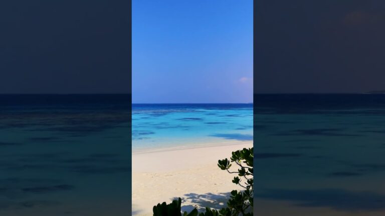 Found a Secret Beach in Maldives secret🤫😧 #shorts #maldives