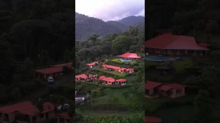 Amazing hotel in the middle of the jungle #travel #costarica #fpv #avata #drone