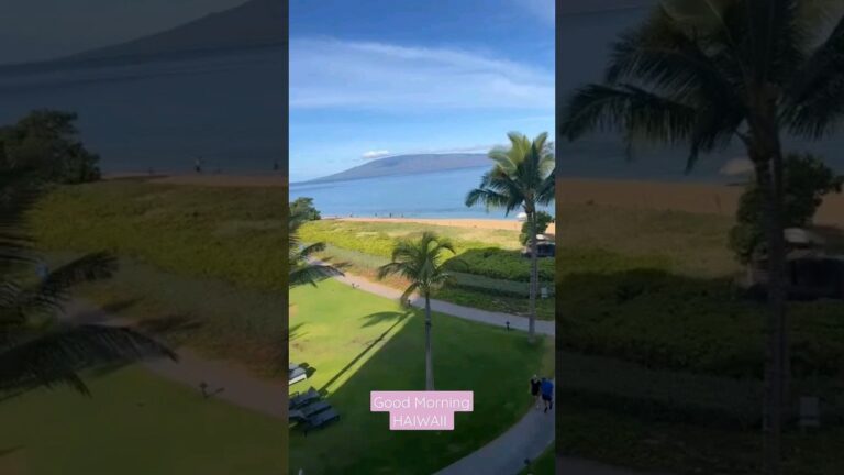View from the balcony  #hawaii #vacation #hotel #beach #beachvibes #beautiful #amazing #travel #wow
