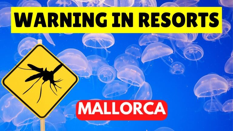 MALLORCA NEWS: Mosquito and Jellyfish Update, Summer 2023