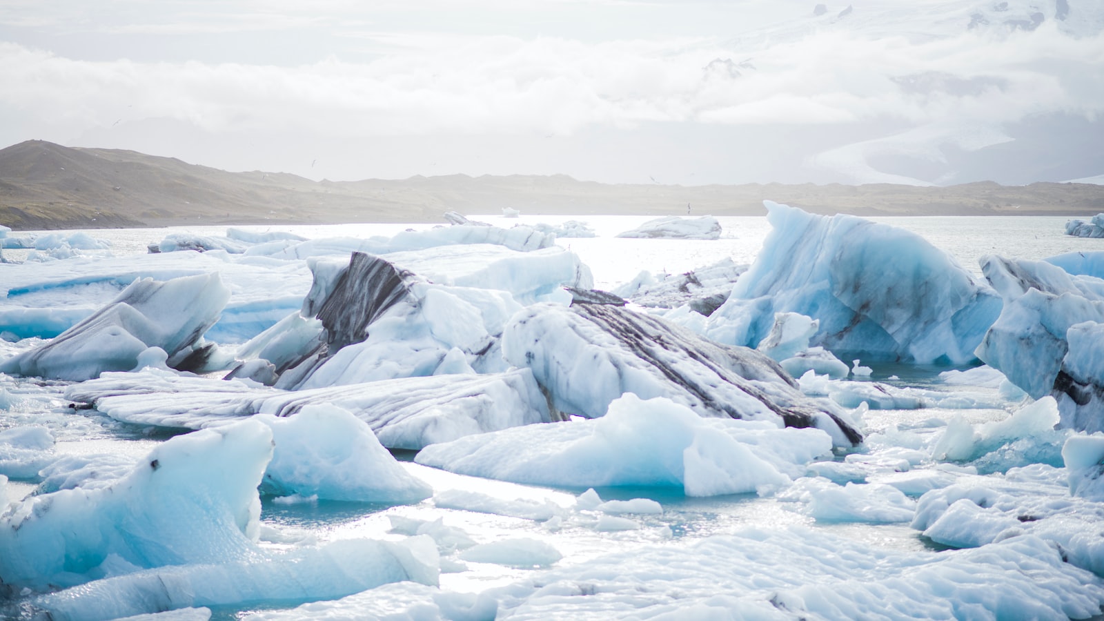 Arctic destinations“Explore the Spectacular Arctic Wilderness of Svalbard and Jan Mayen (Norway)