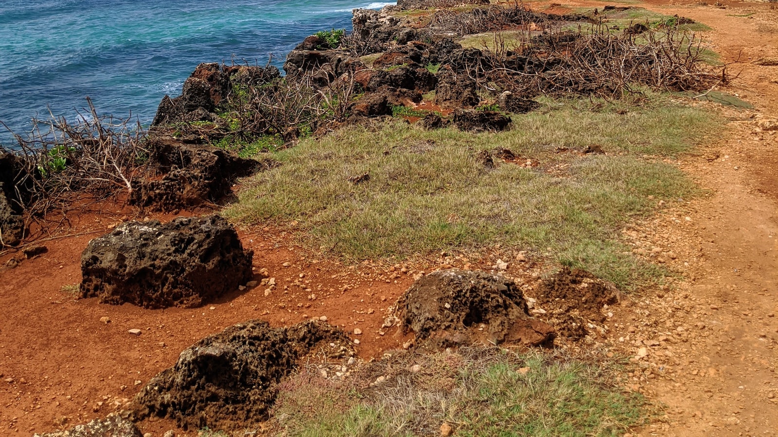 Exploring the Beauty of Kauai: A Traveler’s Guide