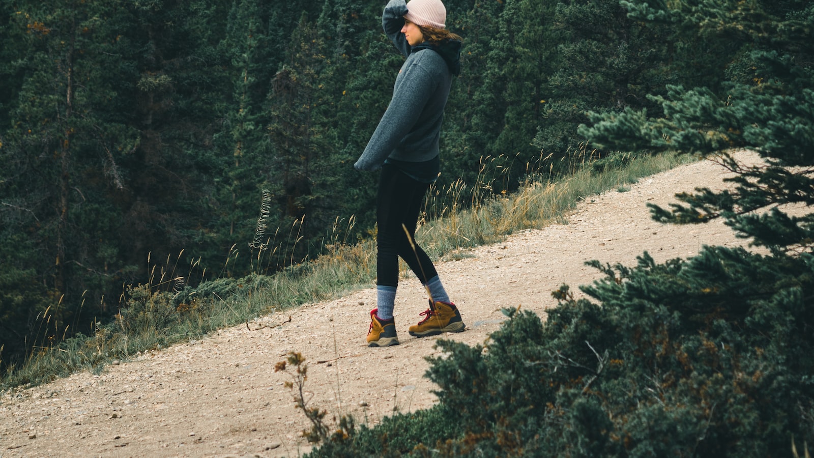 Exploring Nature in the Canadian Rockies