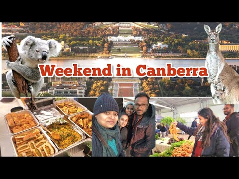 My FIRST TIME IN CANBERRA| The Capital of Australia| saw koala bear😝 #canberra #australia #travel