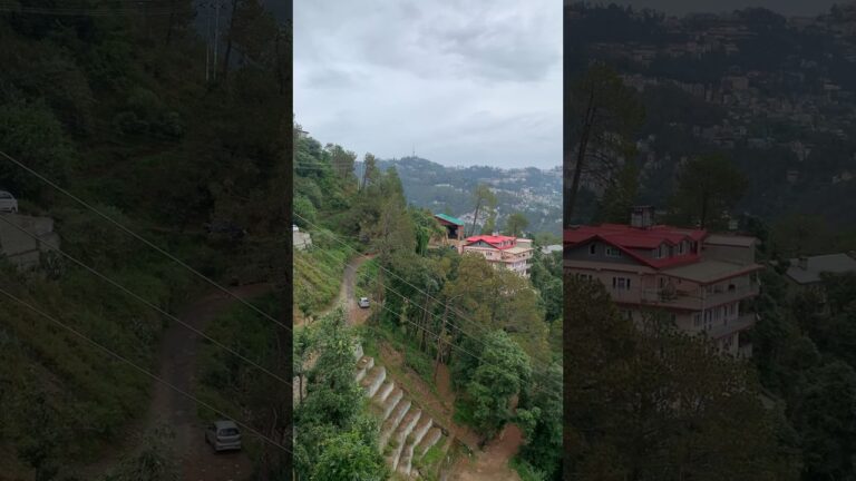 View from Hotel Room Shimla Hotel Sukhsagar Regency #travel #shimla #travelshorts #manali #himachal
