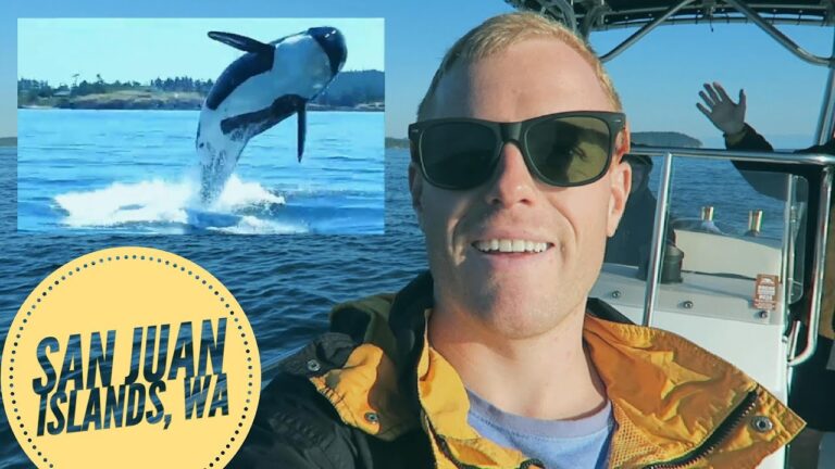 Huge pod of 20 Orca Whales, San Juan Islands, WA – Top things to do in Seattle, Whale Watching Tours