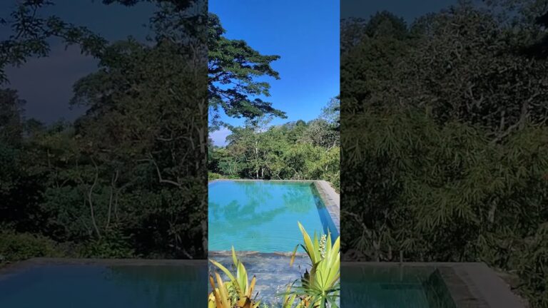 Living with Nature at GlenMyu Estate Hotel, Beragala Haputale Sri Lanka 🇱🇰 #travel #swim #holiday