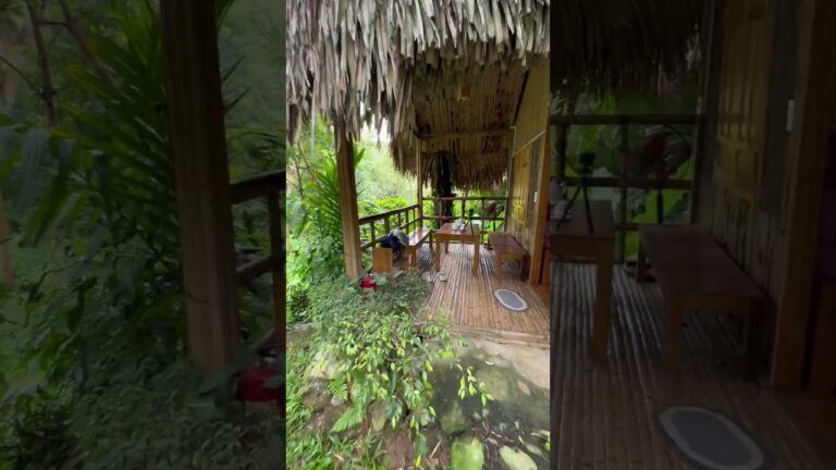 Cabin in the jungle #vietnam #airbnb #shorts #travel #voyager #hagiangloop #hagiang #trending