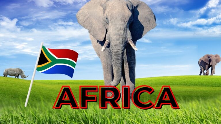 Exploring the Wonders of Africa – A Journey Through the Continent