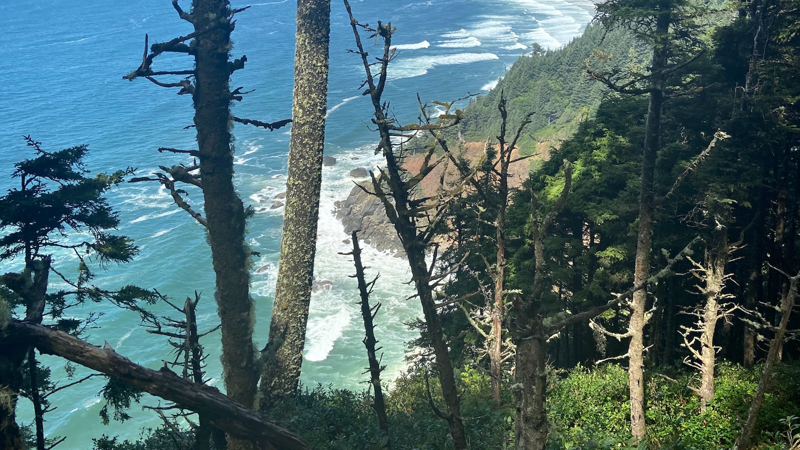 A Weekend Getaway to the Beautiful Oregon Coast