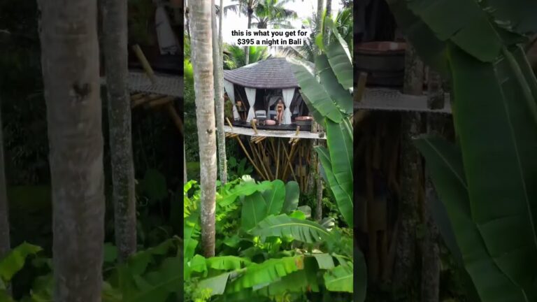 📌 Stone House, Bali #travel #shortsclip #hotel #bali #bestplace