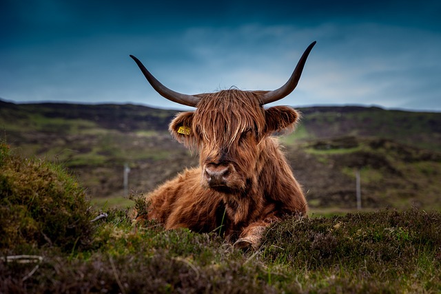 Exploring the Enchanting Beauty of Scotland