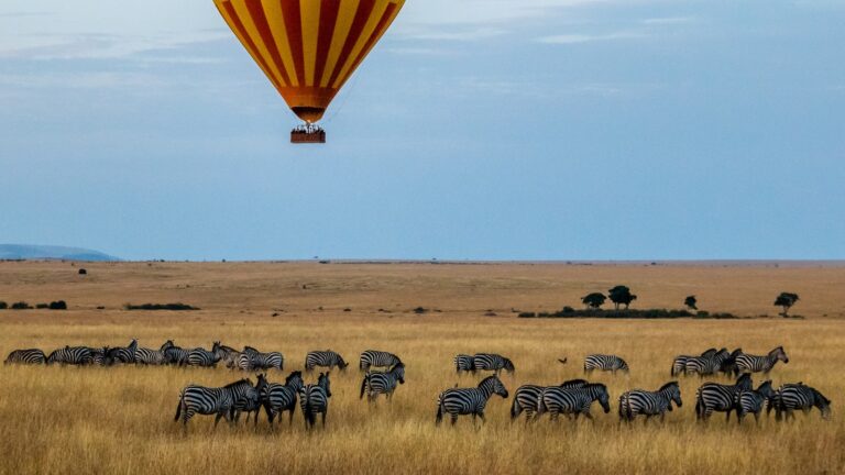 Africa

“Explore the Top 10 Travel Destinations in Botswana, Africa