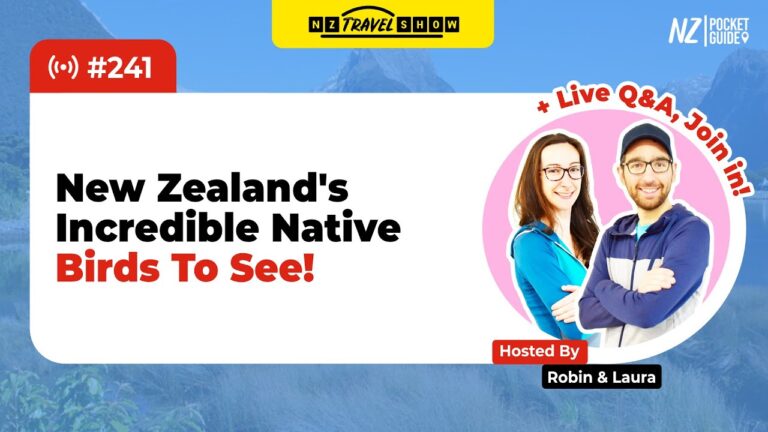 💬 NZ Travel Show – 20 Amazing Native Birds in New Zealand – NZPocketGuide.com