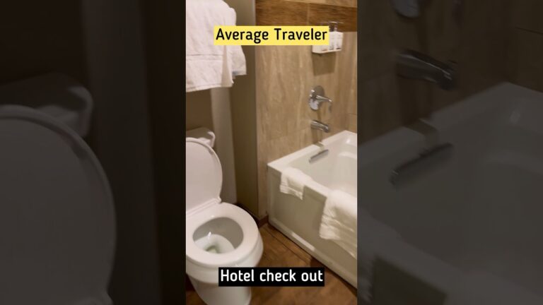 Behind Closed Doors: Hotel Stealer’s Checkout Tactics vs. Average Tourist’s🤣 #shorts #doublea