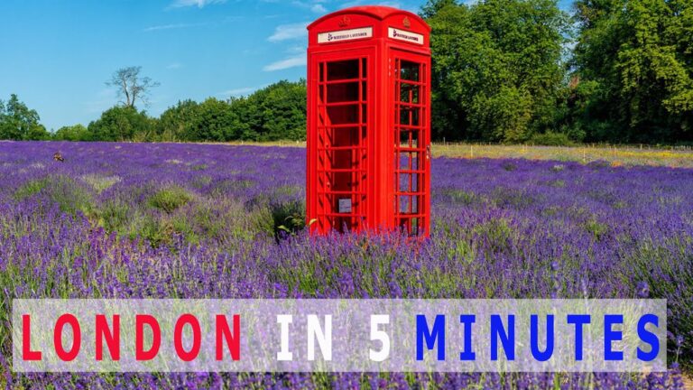 🇬🇧 MAYFIELD THE PRETTIEST LAVENDER FIELDS NEAR LONDON.London walks 2023 Explore London in 5 Minutes