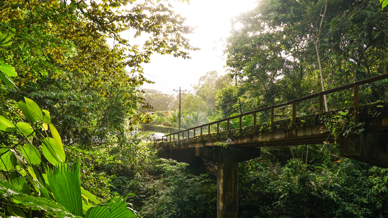 Exploring the Beauty of Costa Rica: An Adventure Awaits!