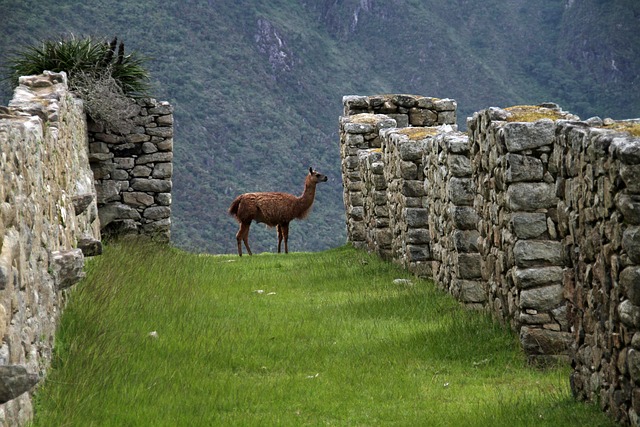 Exploring Ancient Wonders in Peru’s Sacred Valley