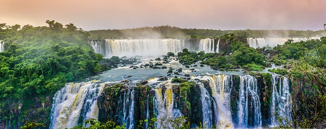 Exploring the Beauty of the Amazon Rainforest