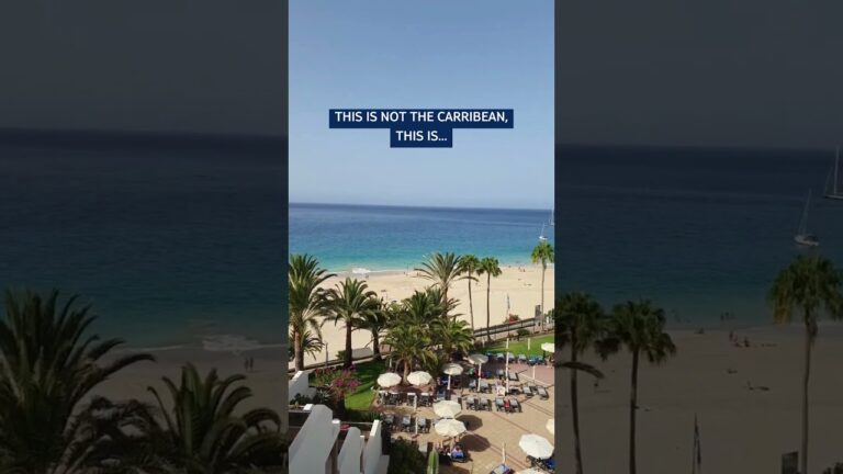 Caribbean Vibes, No Long Flights: TUI BLUE Riu Calypso, Fuerteventura! 🌅✈️ #hotel #travel #vacation