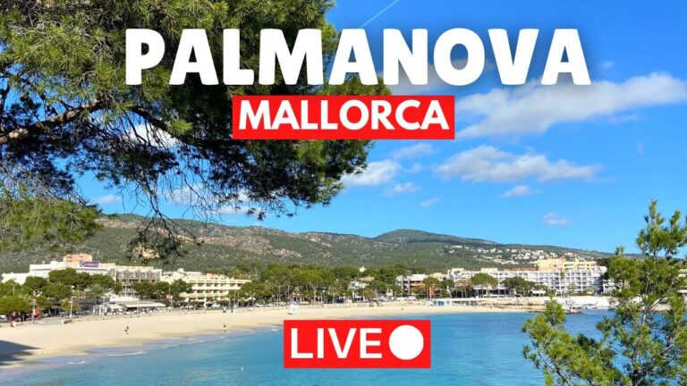 🔴 LIVE in Palmanova (Majorca) Mallorca | 12 November 2023