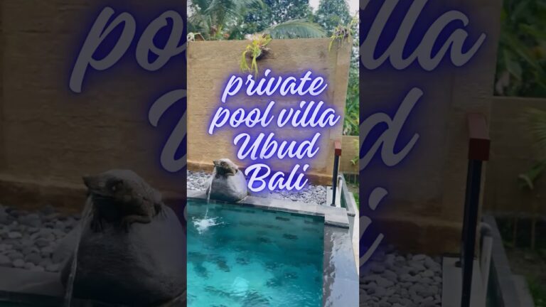 Private pool villa in Bali. #shortvideos #bali #travel #balibali #world #ubud #indonesia