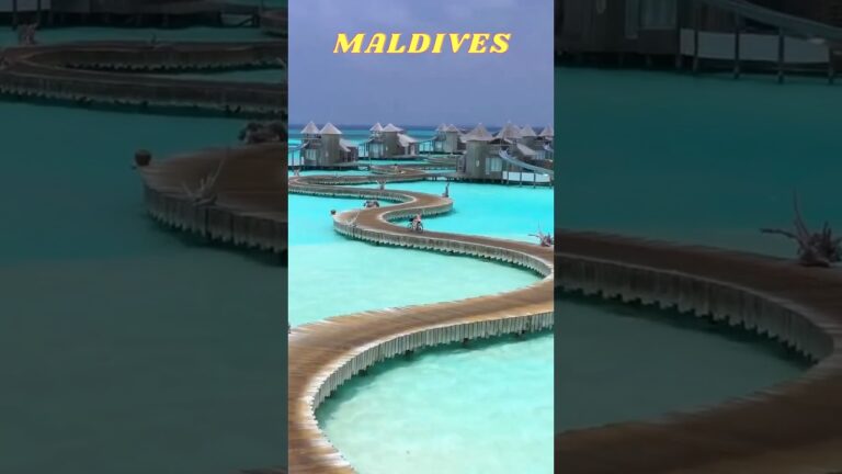 The most fun hotel in Maldives: Hard Rock Hotel! #fy #maldives #maldivas #shortsviral #travel