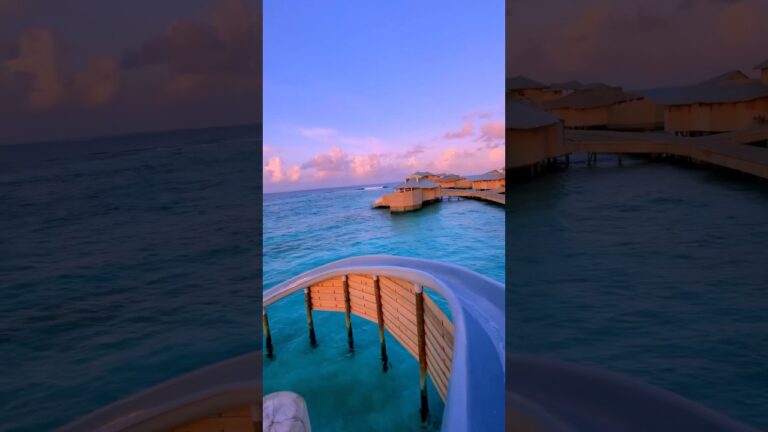 Maldives hotel views 😍🇲🇻#travel #shorts #maldives #luxurytravel  #summer #hotelsandresorts #viral