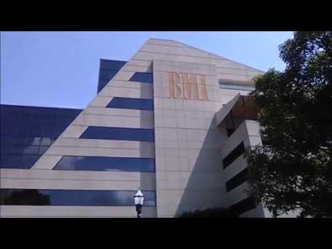 RAY GUITAR BANKS in “NASHVILLE, TN”