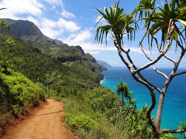 Exploring the Natural Wonders of Kauai