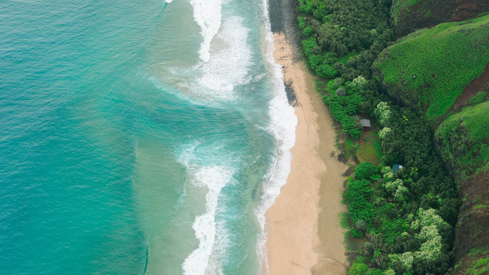 Exploring the Beauty of Hawaii: A Traveler’s Guide