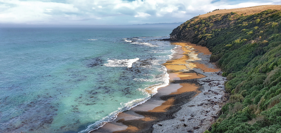 Exploring the Coastal Beauty of New Zealand: A Journey Through an Adventure-Filled Land