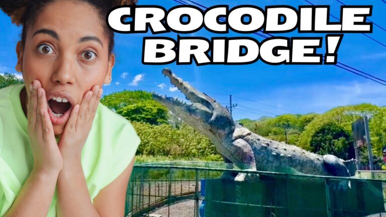 🐊Desire for adventure: Exploring Costa Rica’s infamous Crocodile Bridge 🇨🇷