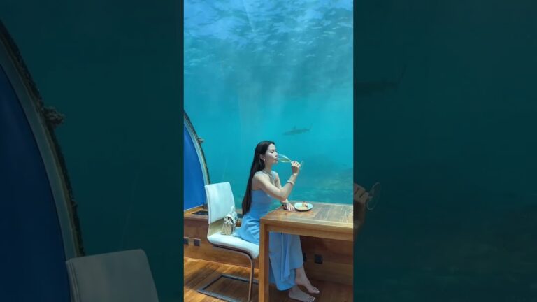 Coolest Underwater Hotel | The Travellers Life. #resort #instagram #reels #relaxtime #travelblogs