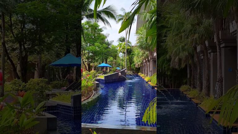 Palm garden and swimming pools at the #Graceland #Hotel #shorts #travel #short #vacation #thailand