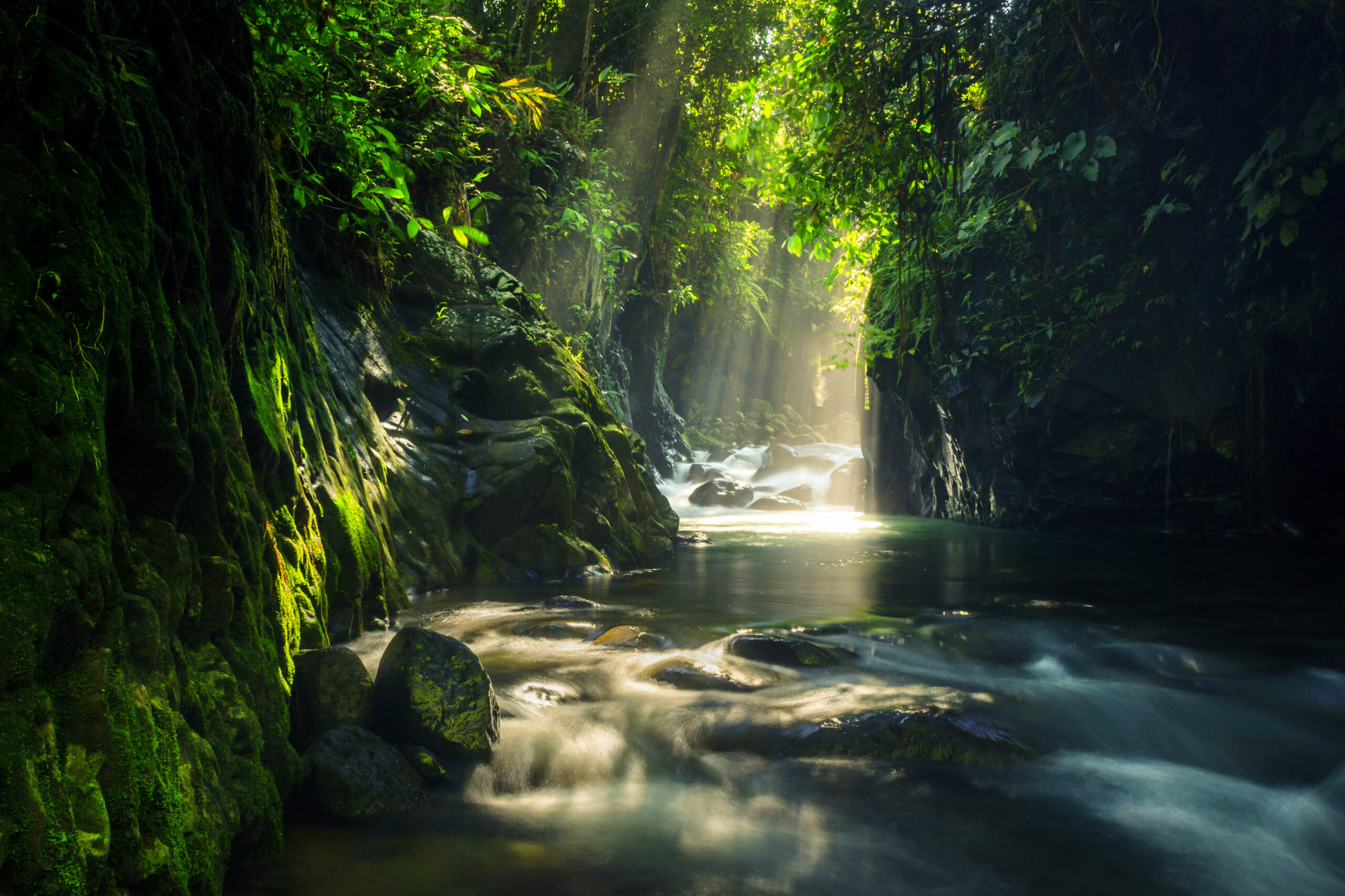 Exploring the Natural Wonders of Hawaii