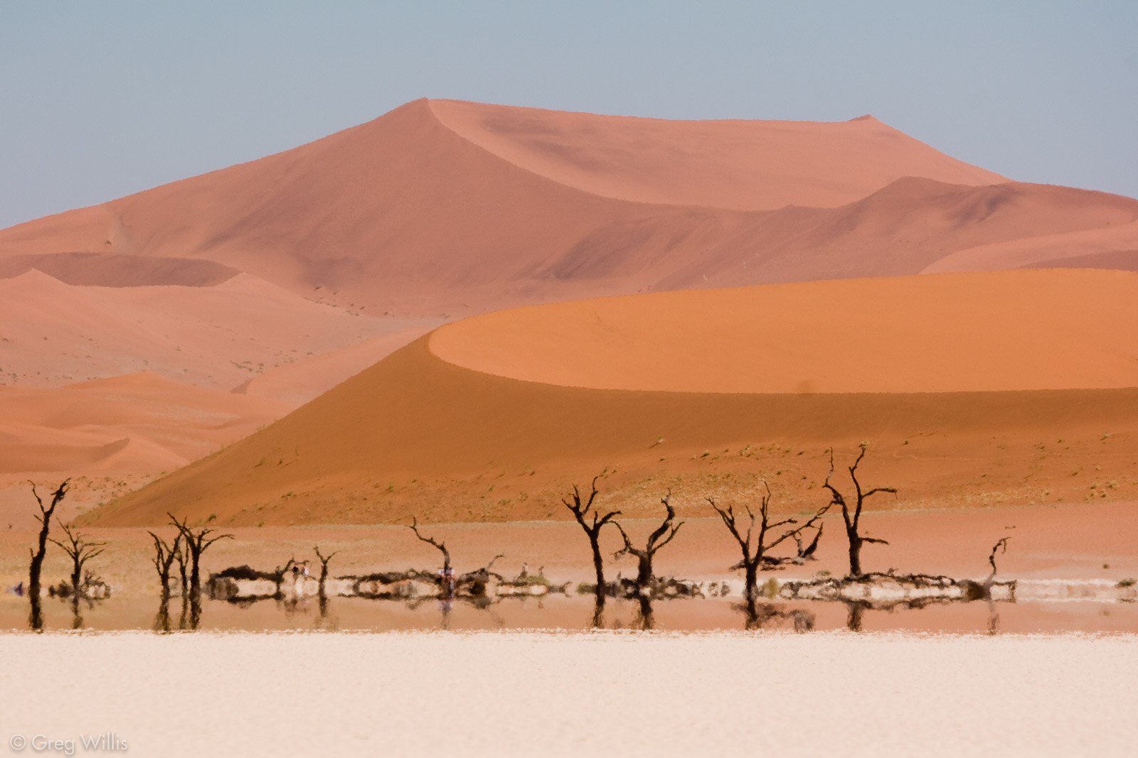 Discover the Best of Namibia: The Top 10 Hotels of the Country