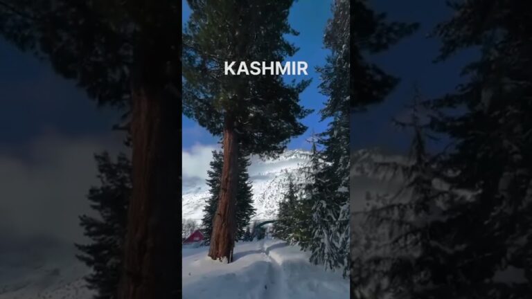 Kashmir ❣️ #travel #travelvlog #jaishreeram #shortvideo #shorts #viral #trending #tiktok #video