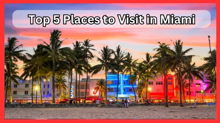 Top 5 Places to Visit in Miami | Ultimate Travel Guide