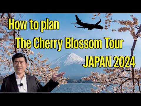 How to plan the Japan Cherry Blossom Tour 2024