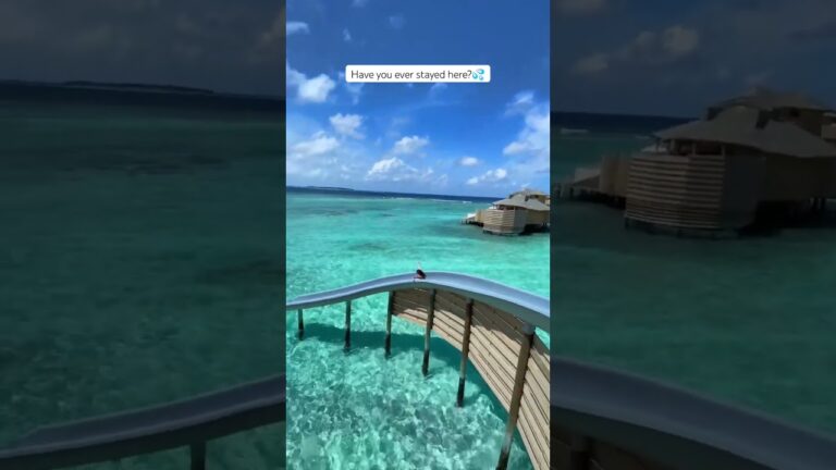 It’s the Soneva Fushi resort #maldives #shorts #hotel #shortvideo #travel #travel&tourineurope