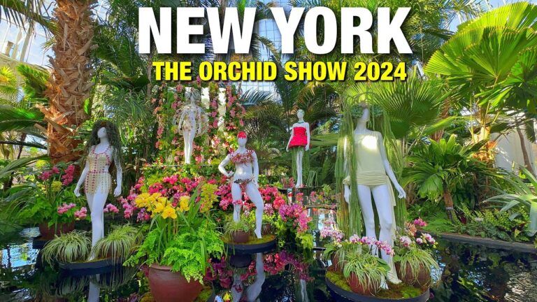 NYBG The Orchid Show 2024 in Bronx New York City : New York Botanical Garden Tour