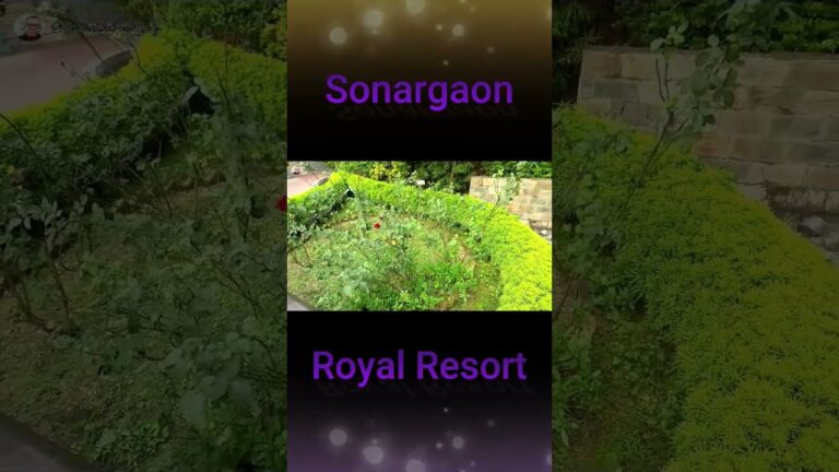 Beautiful Place | Sonargaon Royal Resort #sonargaon #royal #resort #travel #shorts #luxury #hotel